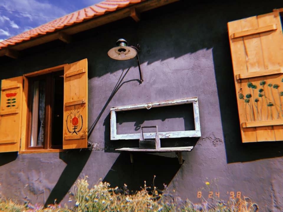 Hotel Sno House In Kazbeg Extérieur photo